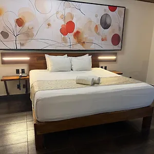 https://reina-roja-hotel.allrivieramayahotels.com